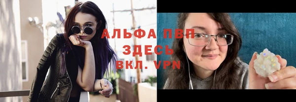 индика Абдулино