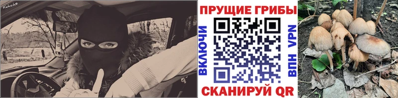 MEGA вход Майский нарко площадка телеграм Псилоцибиновые грибы мухоморы